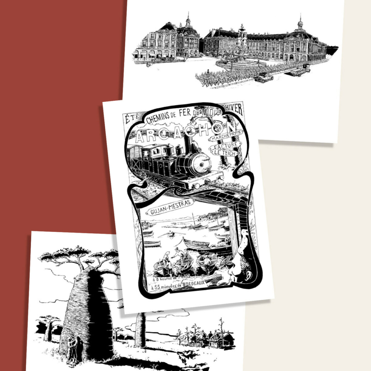 Pack DÉRACINÉ exclusif – Image 9
